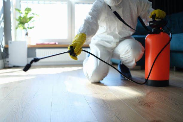 Reliable Odor Removal contractor in Milledgeville, IL by Crime Scene Cleaner Online